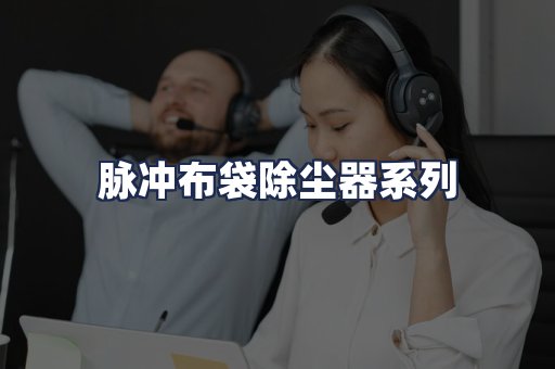 脉冲布袋除尘器系列